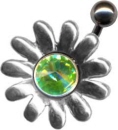 Silber Piercing Schild.