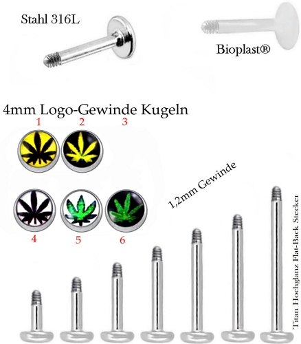blatt-logo-piercing-kugel-mit-labret-tragus-ohr-lippen-stecker