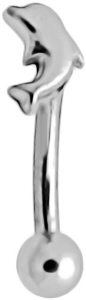 delfin_augenbrauenpiercing