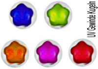 uv_piercing_kugeln_mit_blumen_muster